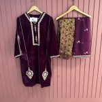 SHREE FABS R 1045 READYMADE VELVET SUITS MANUFACTURER
