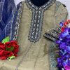 DEEPSY SUITS D 1078 PAKISTANI SUITS IN INDIA