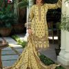 DEEPSY SUITS 4007 PAKISTANI SUITS IN INDIA